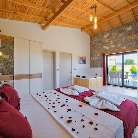 Villa Taş *