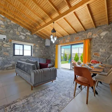 Taş Villa *